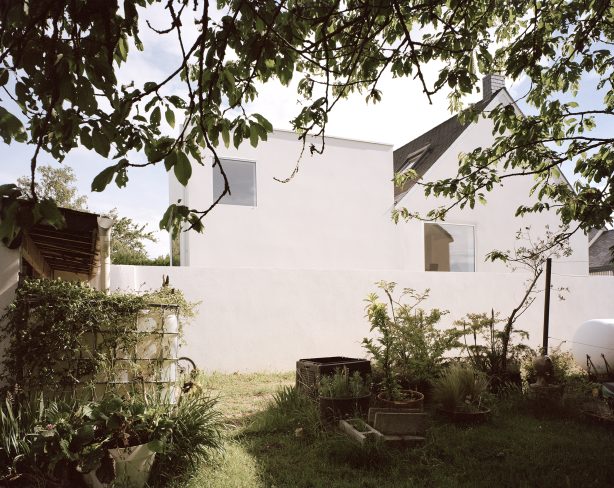 CLF - Figura Studio
