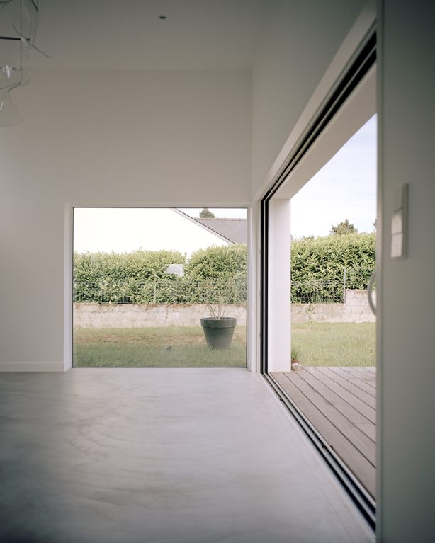 CLF - Figura Studio