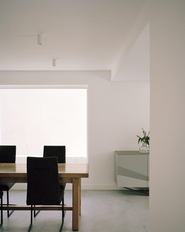 CLF - Figura Studio