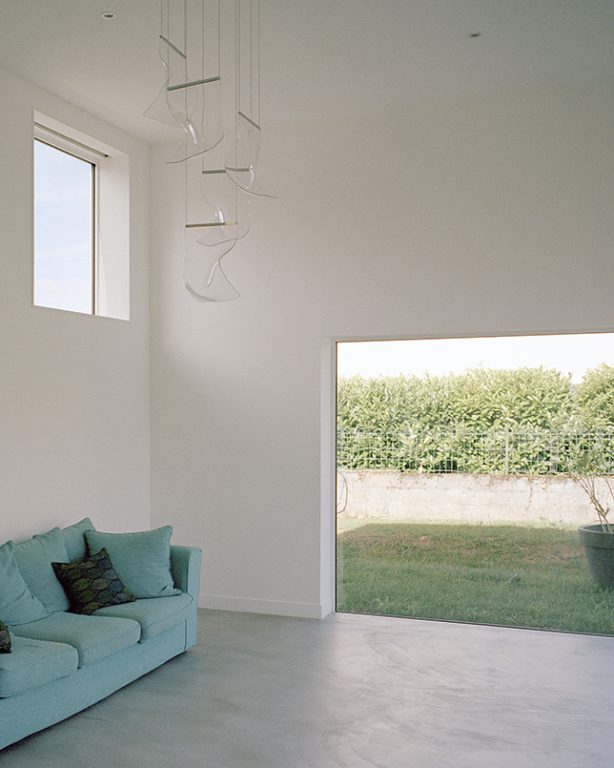 CLF - Figura Studio