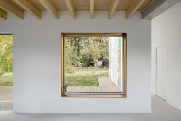 La maison autour de l&rsquo;arbre - Figura Studio