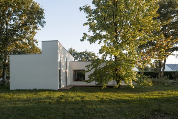 La maison autour de l&rsquo;arbre - Figura Studio