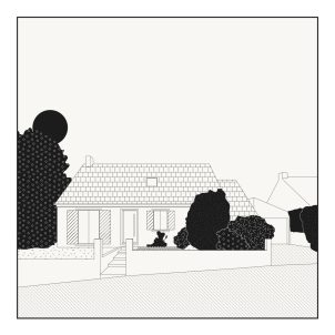CLF - Figura Studio