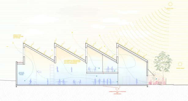 4 Sheds - Figura Studio